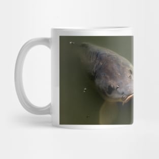 Fly Fishing Mug